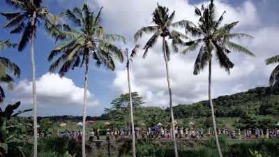 Nieuwe song en clip Indiëvlogger Michiel Eduard Nieuwe song en clip Indiëvlogger Michiel Eduard