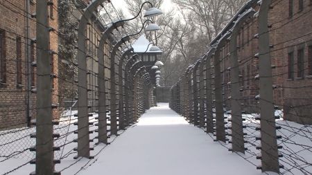 Concentratiekamp Auschwitz